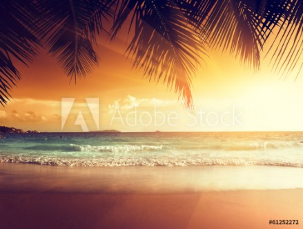 Picture of Sunset on the beach of caribbean sea